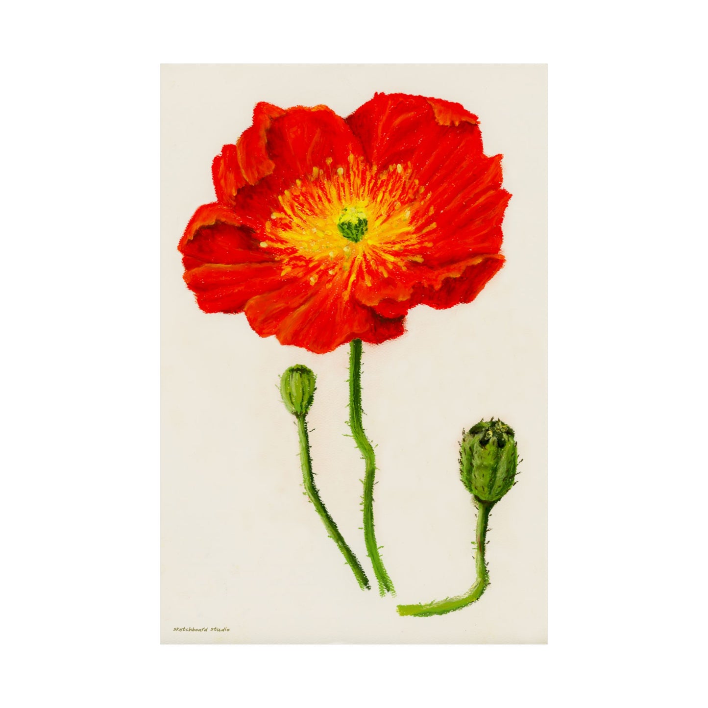 Vibrant Poppy Floral and Buds Print