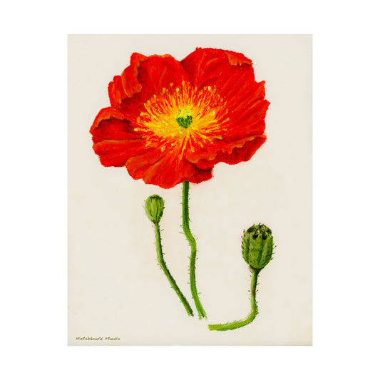 Vibrant Poppy Floral and Buds Print