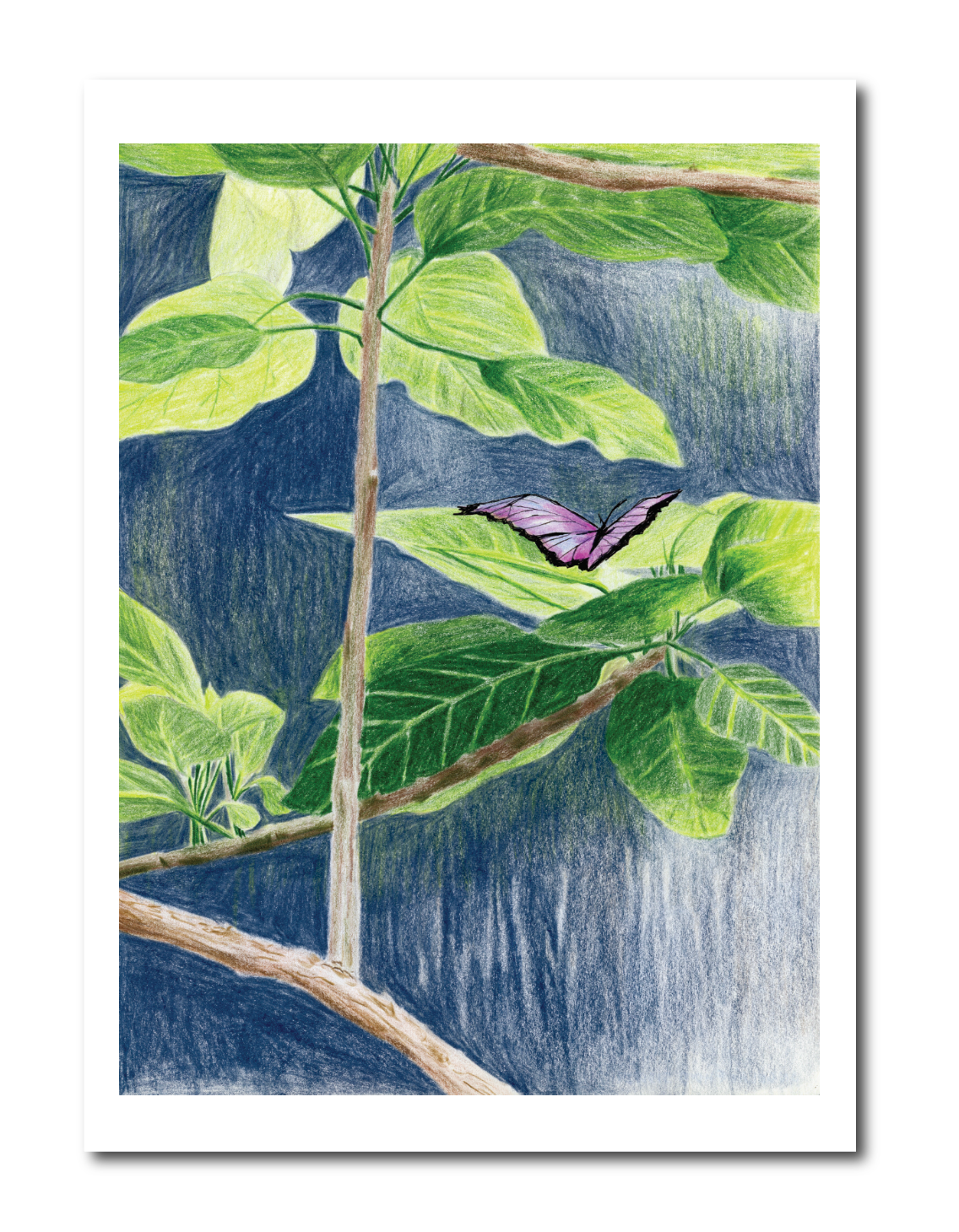 illustration of a purple butterfly landing on a green leaf