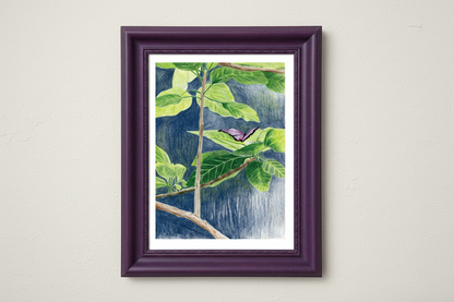 Purple Butterfly Print