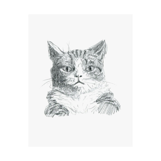 Cat Sketch Print