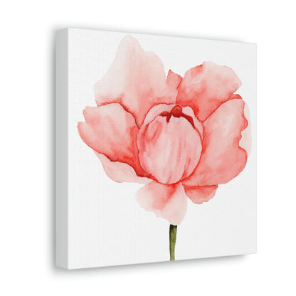 Pink Peony Canvas Print