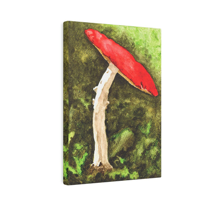 Mushroom Land Canvas Print