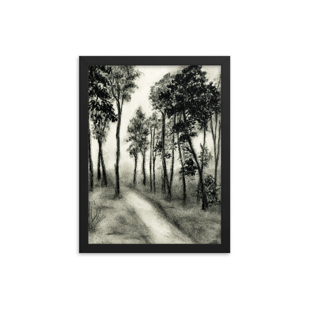 Shadows & Tall Trees Framed Print - sketchboard studio