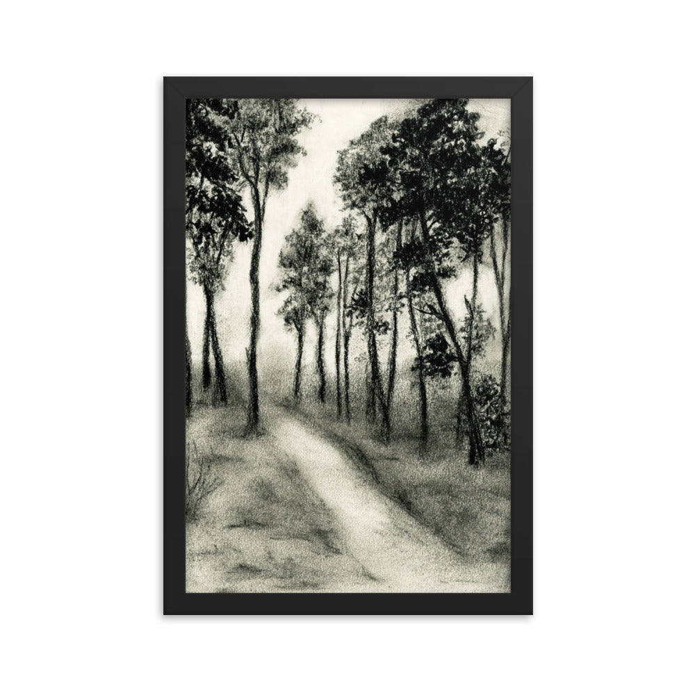 Shadows & Tall Trees Framed Print - sketchboard studio