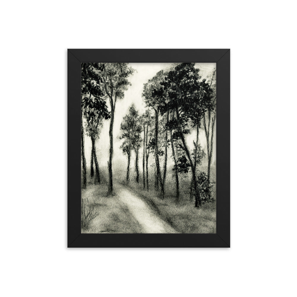 Shadows & Tall Trees Framed Print - sketchboard studio