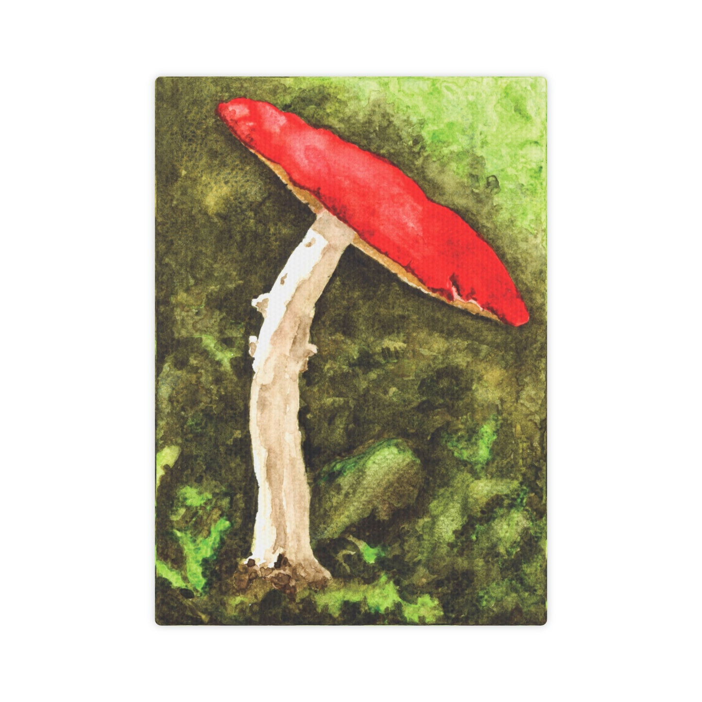 Mushroom Land Canvas Print